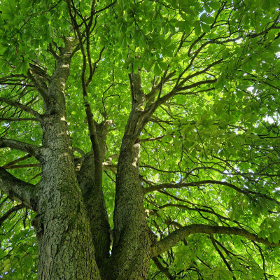 jeden Tag Natur jeden Tag Natur