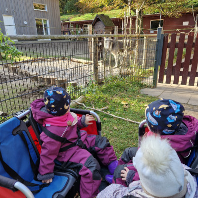Besuch bei den Langohren Besuch bei den Langohren